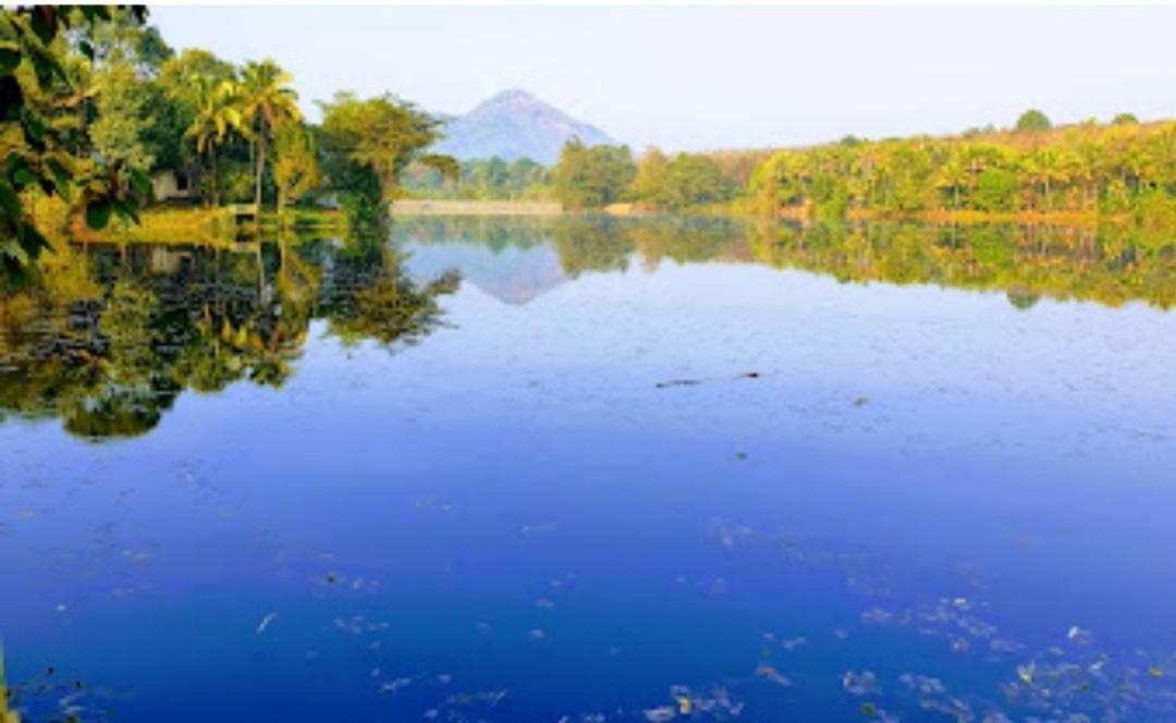 Sparrow Vale Resort Kotamangalam Extérieur photo