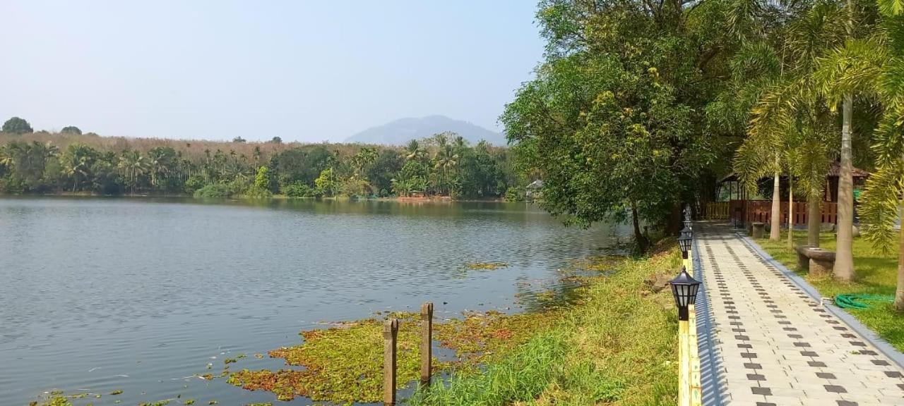 Sparrow Vale Resort Kotamangalam Extérieur photo