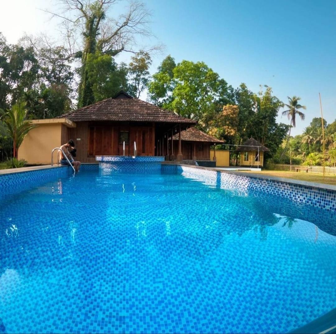 Sparrow Vale Resort Kotamangalam Extérieur photo